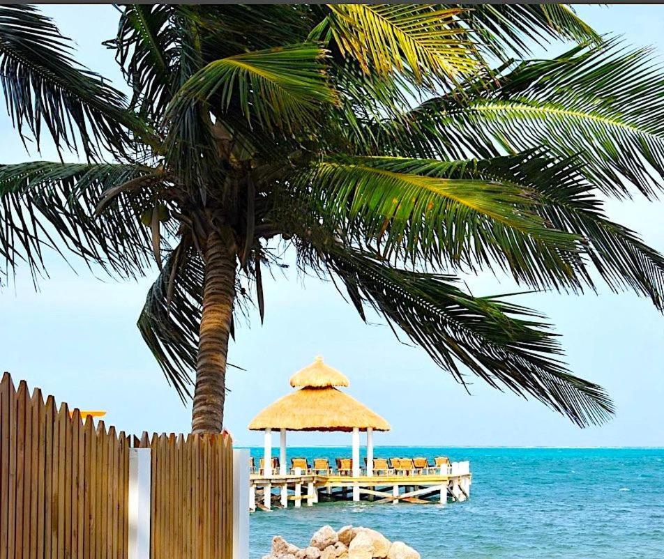 Willa Velento Oceanfront #2 Caye Caulker Zewnętrze zdjęcie